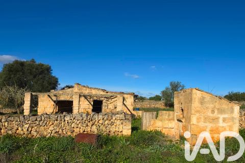 Zemes gabals pārdošanā Santa Margalida, Mallorca, Spānijā 14125 m2 Nr. 152763 - attēls 15