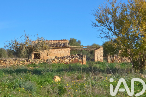 Zemes gabals pārdošanā Santa Margalida, Mallorca, Spānijā 14125 m2 Nr. 152763 - attēls 18