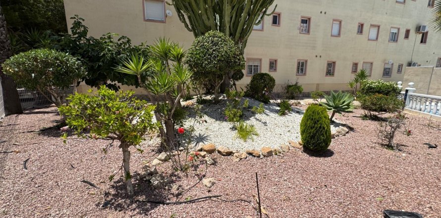 Apartment in Torrevieja, Alicante, Spain 3 bedrooms, 69 sq.m. No. 184334
