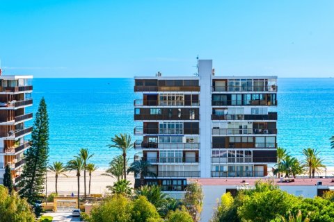 Apartment for sale San Juan, Alicante, Spain 3 bedrooms, 133 sq.m. No. 119468 - photo 30