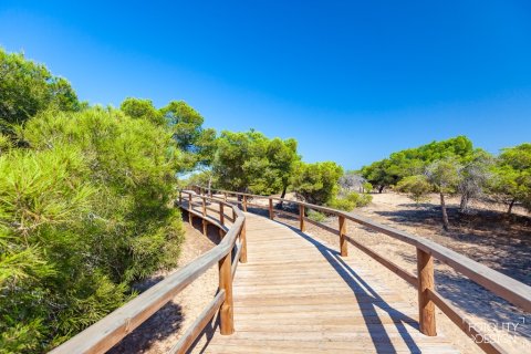 Villa zum Verkauf in Guardamar del Segura, Alicante, Spanien 4 Schlafzimmer, 269 m2 Nr. 145743 - Foto 20