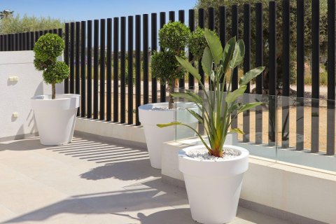 Huvila myytävänä Guardamar del Segura, Alicante, Espanja, 4 makuuhuonetta, 188 m2 No. 145745 - kuva 24