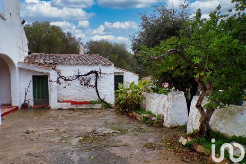 Продажа дома в Алайор, Менорка, Испания 6 спален, 221943м2 №154117 - фото 8