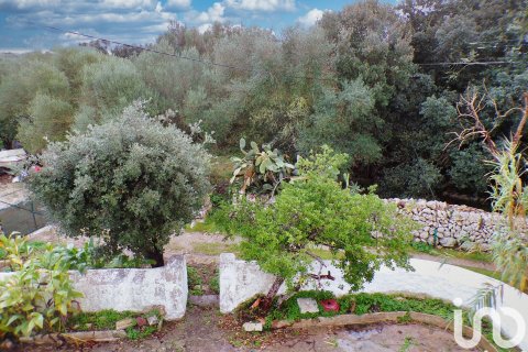 Продажа дома в Алайор, Менорка, Испания 6 спален, 221943м2 №154117 - фото 11