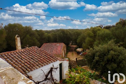 Продажа дома в Алайор, Менорка, Испания 6 спален, 221943м2 №154117 - фото 22