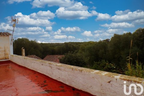 Продажа дома в Алайор, Менорка, Испания 6 спален, 221943м2 №154117 - фото 21