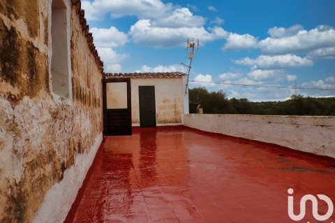 Продажа дома в Алайор, Менорка, Испания 6 спален, 221943м2 №154117 - фото 19