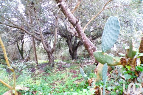 Продажа дома в Алайор, Менорка, Испания 6 спален, 221943м2 №154117 - фото 24