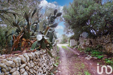 Продажа дома в Алайор, Менорка, Испания 6 спален, 221943м2 №154117 - фото 2