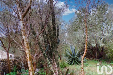 Продажа дома в Алайор, Менорка, Испания 6 спален, 221943м2 №154117 - фото 4