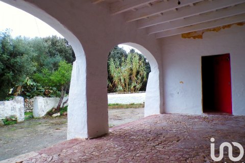 Продажа дома в Алайор, Менорка, Испания 6 спален, 221943м2 №154117 - фото 10