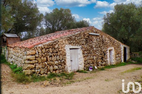 Продажа дома в Алайор, Менорка, Испания 6 спален, 221943м2 №154117 - фото 23