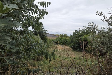 Продажа земельного участка в Таррега, Лерида, Испания 719м2 №153117 - фото 11