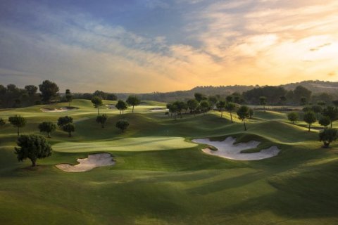 Apartment à vendre à Dehesa De Campoamor, Alicante, Espagne, 3 chambres, 140 m2 No. 149596 - photo 17