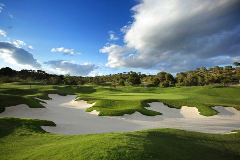 Apartment à vendre à Dehesa De Campoamor, Alicante, Espagne, 3 chambres, 140 m2 No. 149596 - photo 15