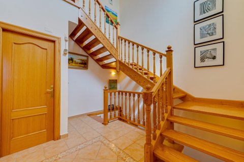 Bungalow for sale in Los Altos, Alicante, Spain 5 bedrooms, 350 sq.m. No. 165345 - photo 17