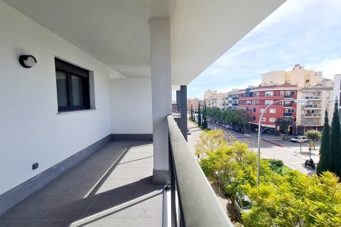 Аренда квартиры в Пальма-де-Майорка, Майорка, Испания 3 спальни, 117м2 №155197 - фото 4