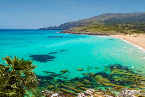 Radhus till salu i Arta, Mallorca, Spanien 3 sovrum, 151 kvm. Nr. 155200 - foto 16