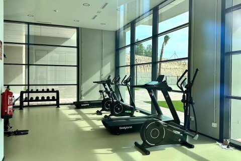 Apartment à vendre à Benidorm, Alicante, Espagne, 2 chambres, 180 m2 No. 165321 - photo 25