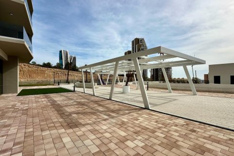 Apartment à vendre à Benidorm, Alicante, Espagne, 2 chambres, 180 m2 No. 165321 - photo 23