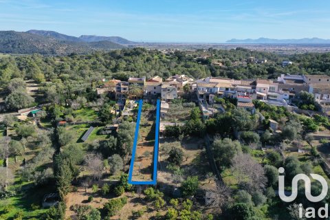 Villa till salu i Campanet, Mallorca, Spanien 4 sovrum, 241 kvm. Nr. 153425 - foto 5