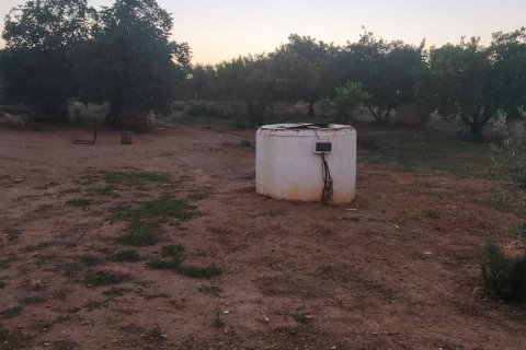 Terreno a Canada Rosal, Seville, Spagna 2542 mq. N° 188170