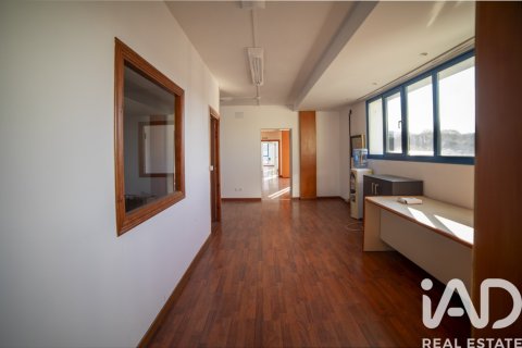Ofiss īrēšanai El Berron, Asturias, Spānijā 456 m2 Nr. 188522 - attēls 22