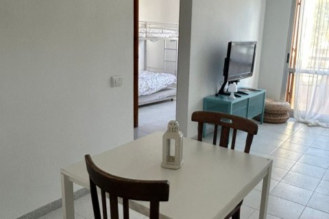 Huoneisto vuokrattavana Alcanar, Tarragona, Espanja, 2 makuuhuonetta, 60 m2 No. 188521 - kuva 10