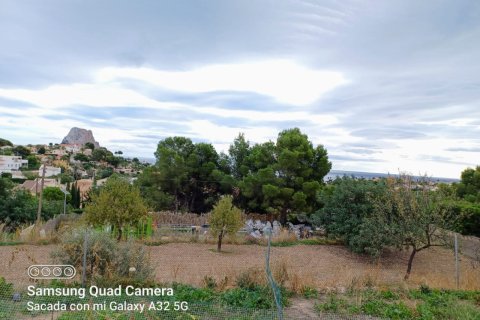 Terreno in vendita a Calpe, Alicante, Spagna 810 mq. N° 146533 - foto 2