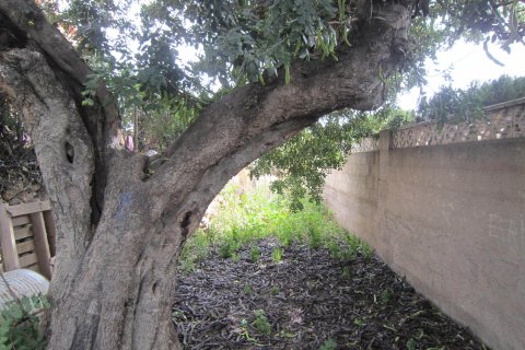 Terreno in vendita a Calpe, Alicante, Spagna 810 mq. N° 146533 - foto 6