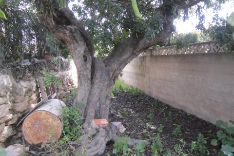 Terreno in vendita a Calpe, Alicante, Spagna 810 mq. N° 146533 - foto 20