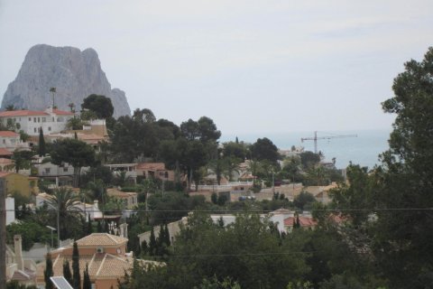 Terreno in vendita a Calpe, Alicante, Spagna 810 mq. N° 146533 - foto 14