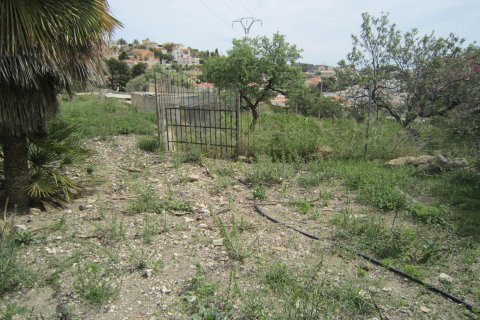 Terreno in vendita a Calpe, Alicante, Spagna 810 mq. N° 146533 - foto 10