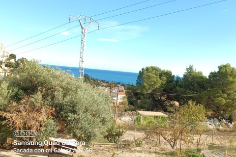 Terreno in vendita a Calpe, Alicante, Spagna 810 mq. N° 146533 - foto 4