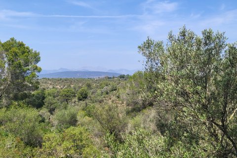 Land zum Verkauf in Son Gual, Mallorca, Spanien 2320 m2 Nr. 146539 - Foto 2