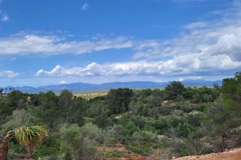 Land zum Verkauf in Son Gual, Mallorca, Spanien 2320 m2 Nr. 146539 - Foto 1