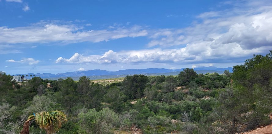 Land in Son Gual, Mallorca, Spanien 2320 m2 Nr. 146539