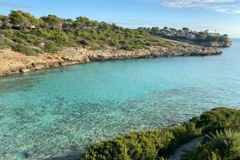 Apartament w Porto Cristo, Mallorca, Hiszpania 3 sypialnie, 110 mkw. nr 146537 – zdjęcie 11