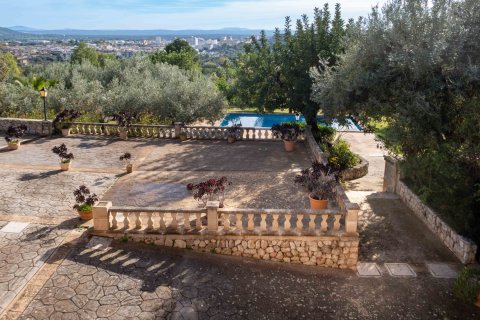 Finca à vendre à Inca, Mallorca, Espagne, 8 chambres, 740 m2 No. 146535 - photo 3