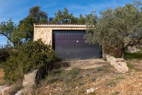 Finca à vendre à Inca, Mallorca, Espagne, 8 chambres, 740 m2 No. 146535 - photo 12