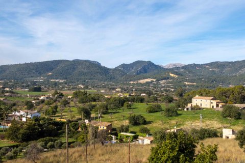 Finca à vendre à Inca, Mallorca, Espagne, 8 chambres, 740 m2 No. 146535 - photo 5