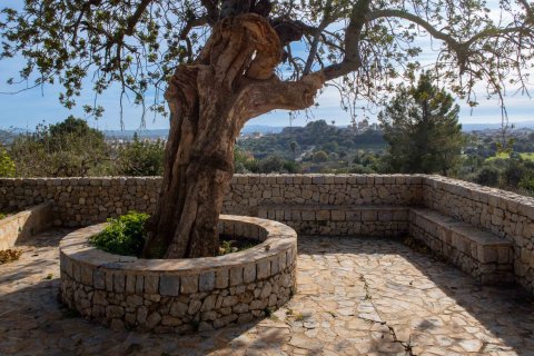 Finca à vendre à Inca, Mallorca, Espagne, 8 chambres, 740 m2 No. 146535 - photo 9