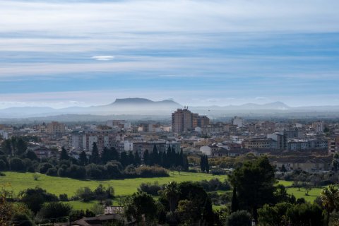 Finca à vendre à Inca, Mallorca, Espagne, 8 chambres, 740 m2 No. 146535 - photo 4