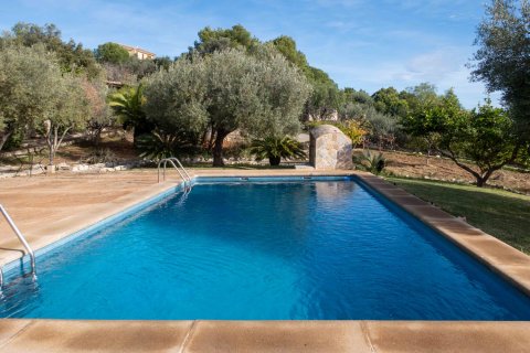 Finca à vendre à Inca, Mallorca, Espagne, 8 chambres, 740 m2 No. 146535 - photo 8