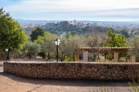 Finca à vendre à Inca, Mallorca, Espagne, 8 chambres, 740 m2 No. 146535 - photo 13