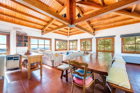 Villa till salu i Pollenca, Mallorca, Spanien 5 sovrum, 800 kvm. Nr. 146534 - foto 18