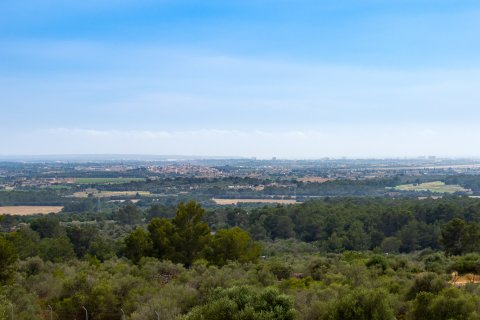 Villa for sale in Puntiro, Mallorca, Spain 5 bedrooms, 690 sq.m. No. 143788 - photo 23