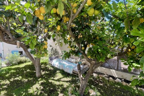 Radhus till salu i Soller, Mallorca, Spanien 3 sovrum, 200 kvm. Nr. 143787 - foto 3