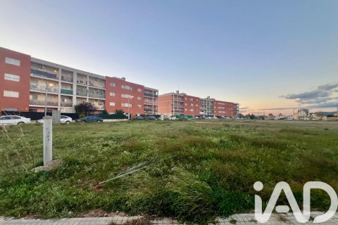 Terreno in vendita a Amposta, Tarragona, Spagna 855 mq. N° 152621 - foto 5