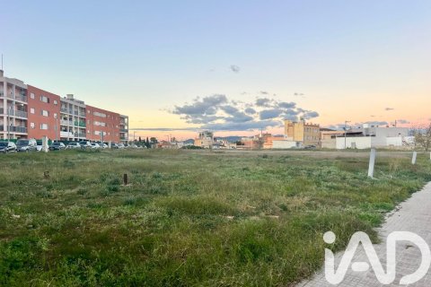 Terreno in vendita a Amposta, Tarragona, Spagna 855 mq. N° 152621 - foto 4
